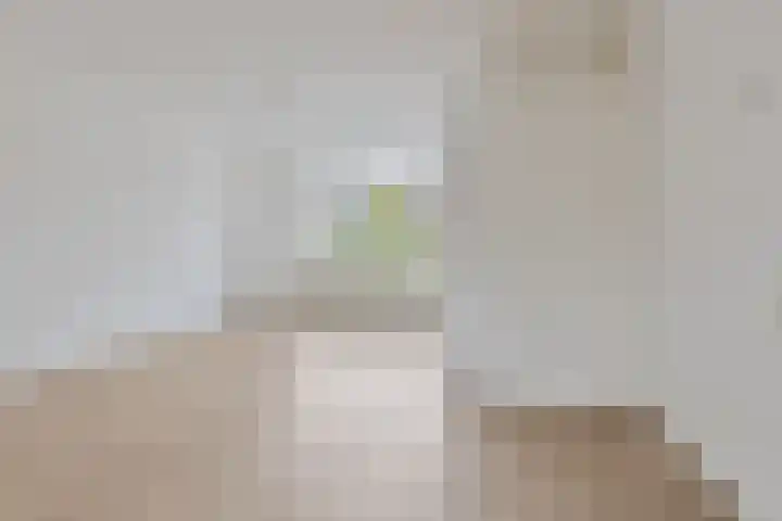 Anna Reijnvaanstraat 64 Heemskerk thumbnail 8