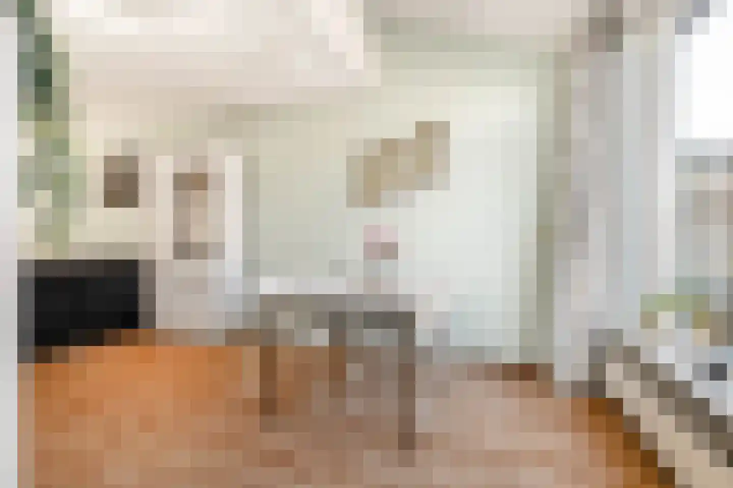 Anna Reynvaanhof 13 Hoofddorp thumbnail 13
