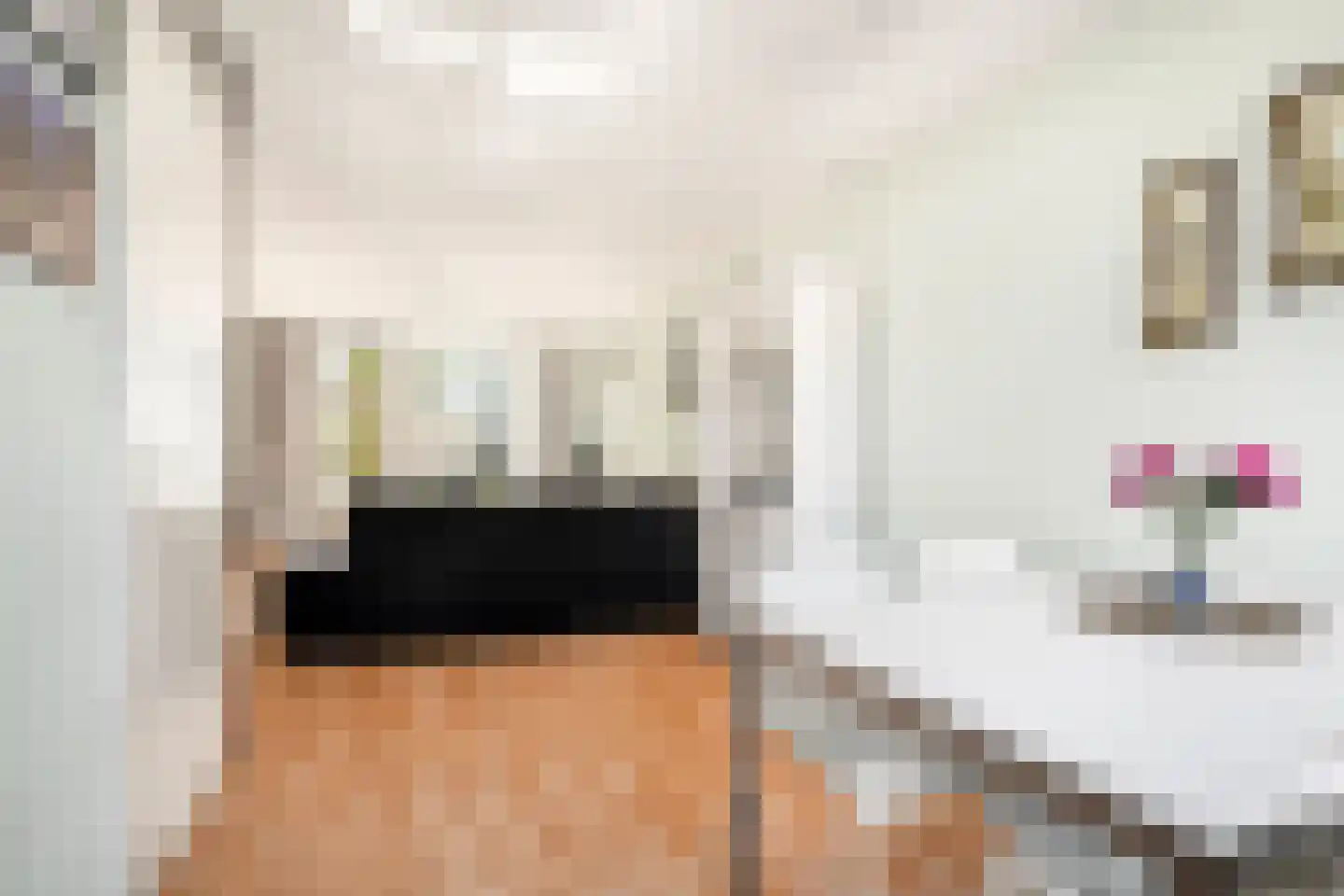 Anna Reynvaanhof 13 Hoofddorp thumbnail 14