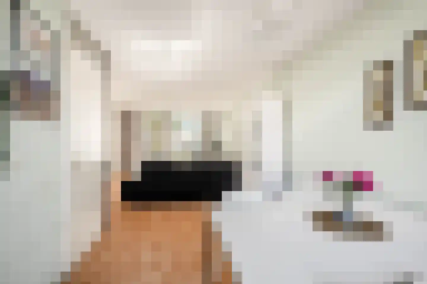 Anna Reynvaanhof 13 Hoofddorp thumbnail 16