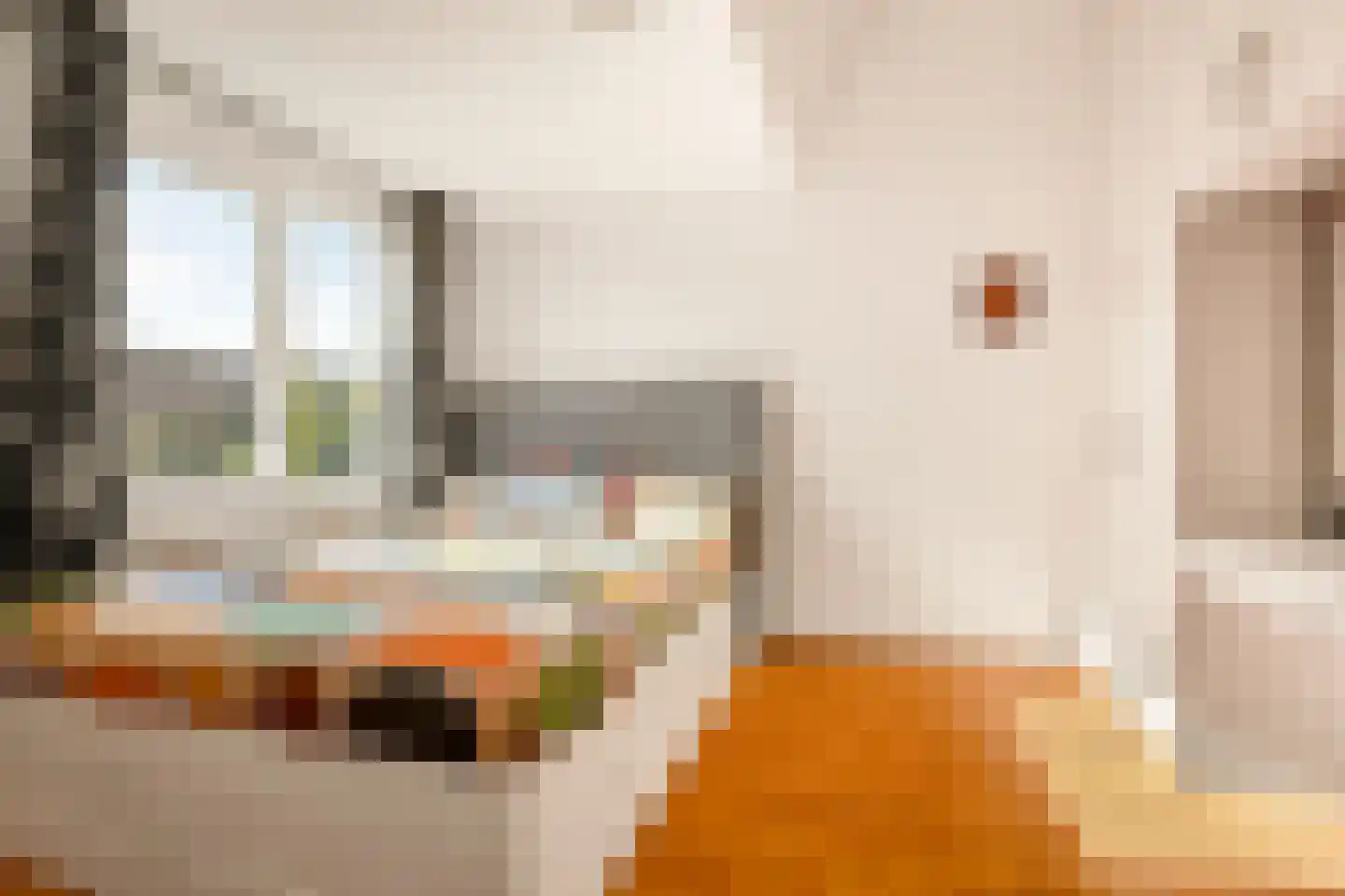 Anna Reynvaanhof 13 Hoofddorp thumbnail 19