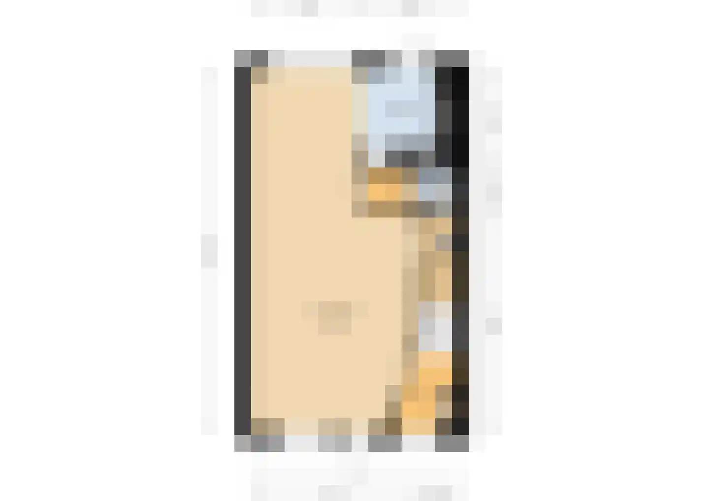 Anna Reynvaanhof 13 Hoofddorp thumbnail 31