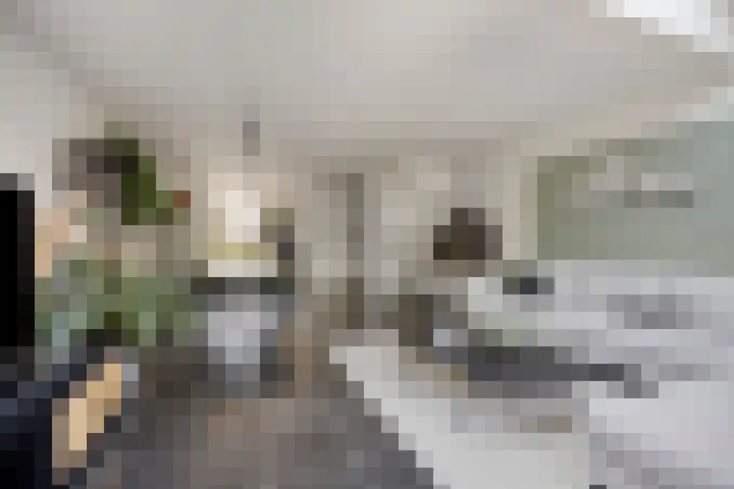 Anna Reynvaansingel 7 Castricum thumbnail 11