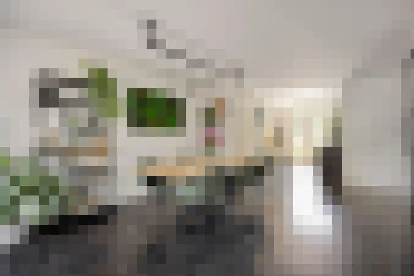 Anna Reynvaansingel 7 Castricum thumbnail 13