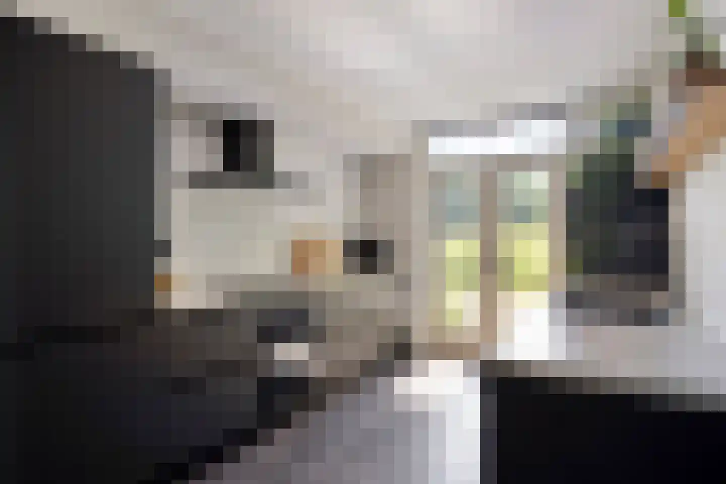 Anna Reynvaansingel 7 Castricum thumbnail 15