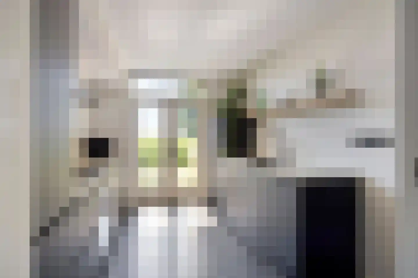 Anna Reynvaansingel 7 Castricum thumbnail 16