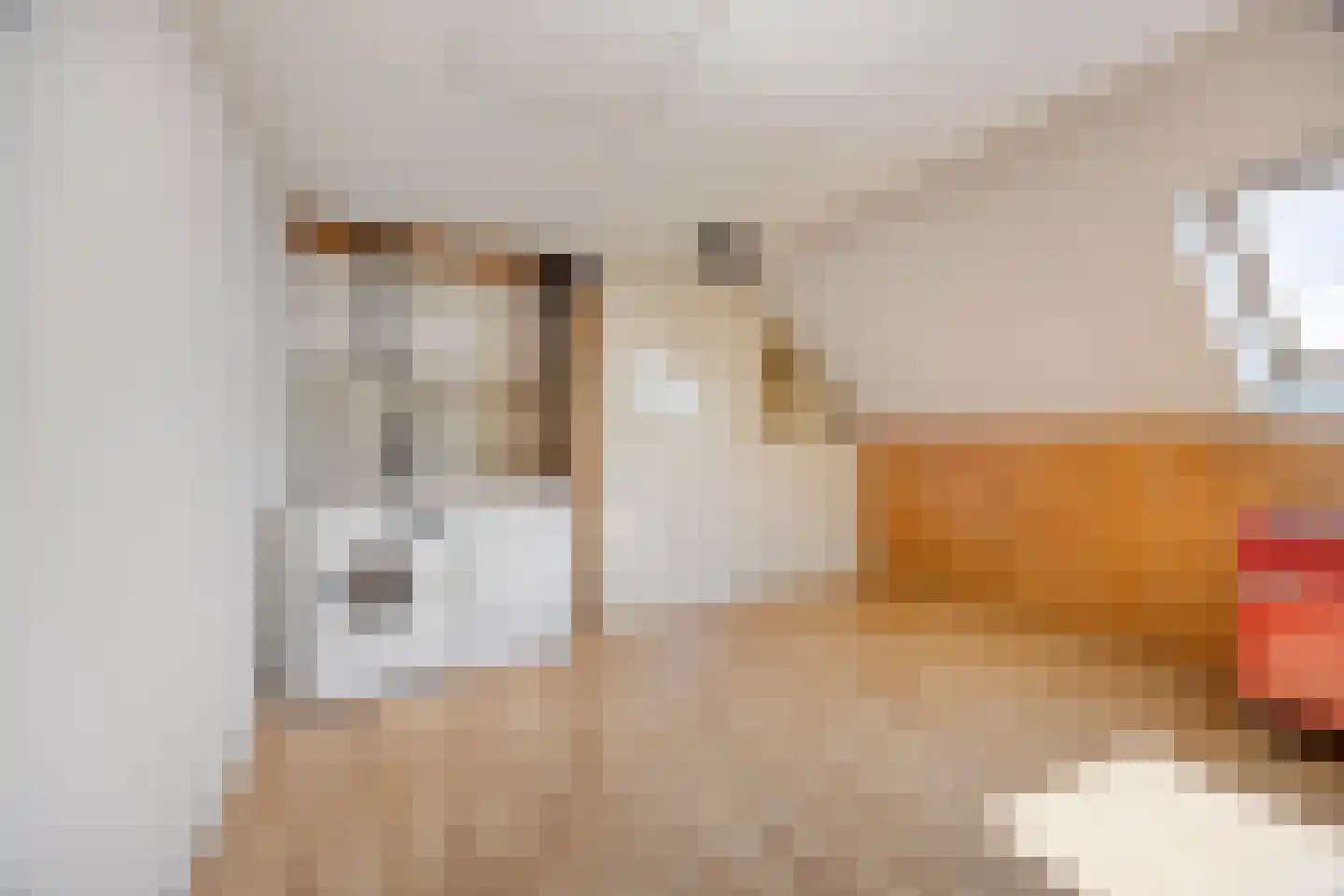 Anna Reynvaansingel 7 Castricum thumbnail 30