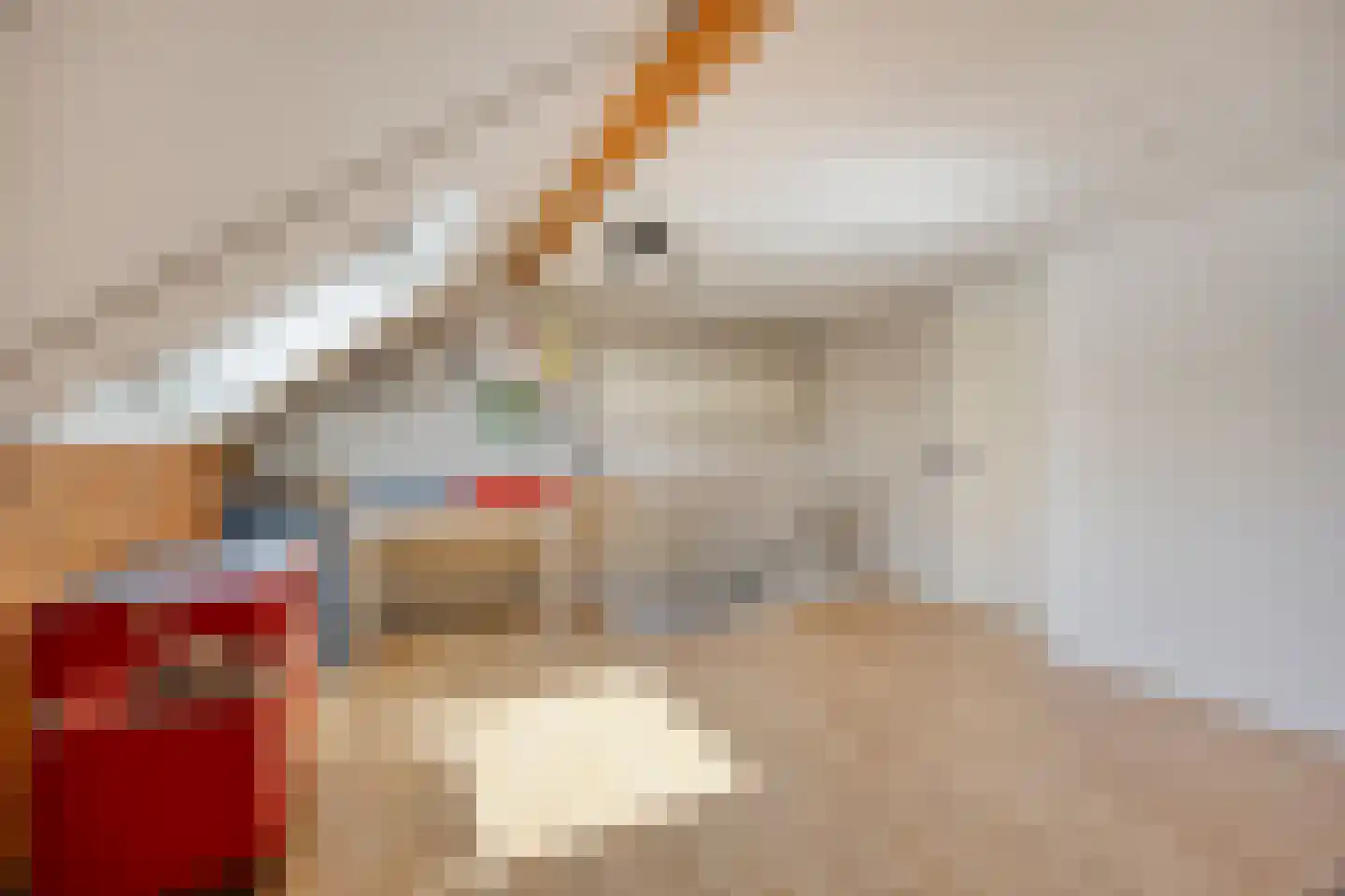 Anna Reynvaansingel 7 Castricum thumbnail 31