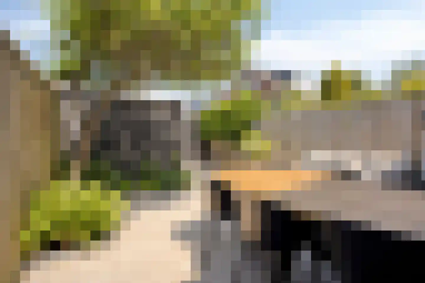 Anna Reynvaansingel 7 Castricum thumbnail 36