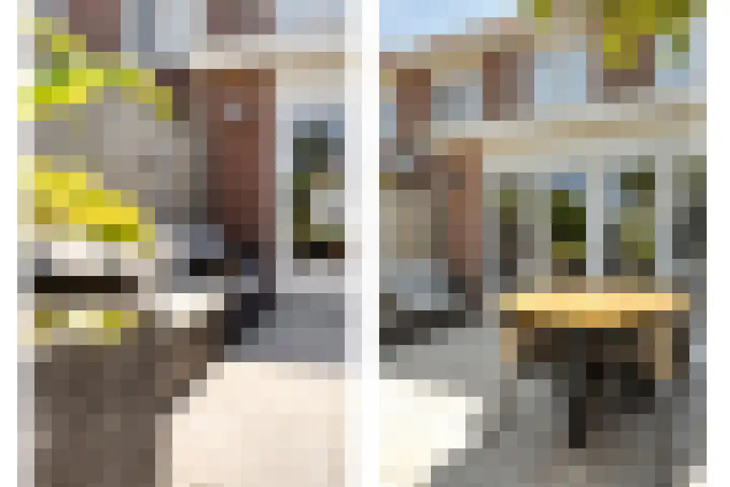 Anna Reynvaansingel 7 Castricum thumbnail 37