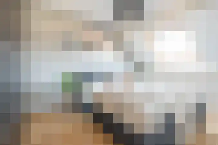 Anna Roemers-Visscherpad 14 Gorinchem thumbnail 12