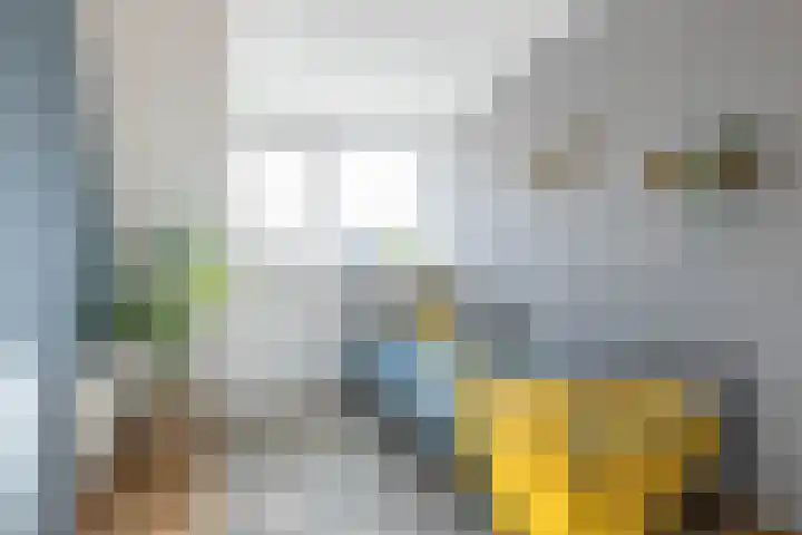 Anna Roemers-Visscherpad 14 Gorinchem thumbnail 18