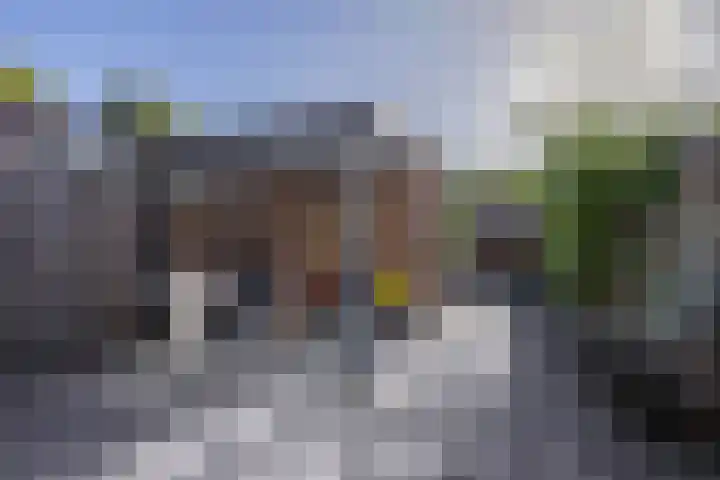 Anna Roemers-Visscherpad 14 Gorinchem thumbnail 23