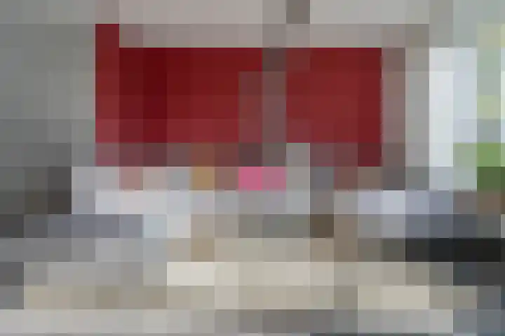 Anna Roemers-Visscherpad 14 Gorinchem thumbnail 5