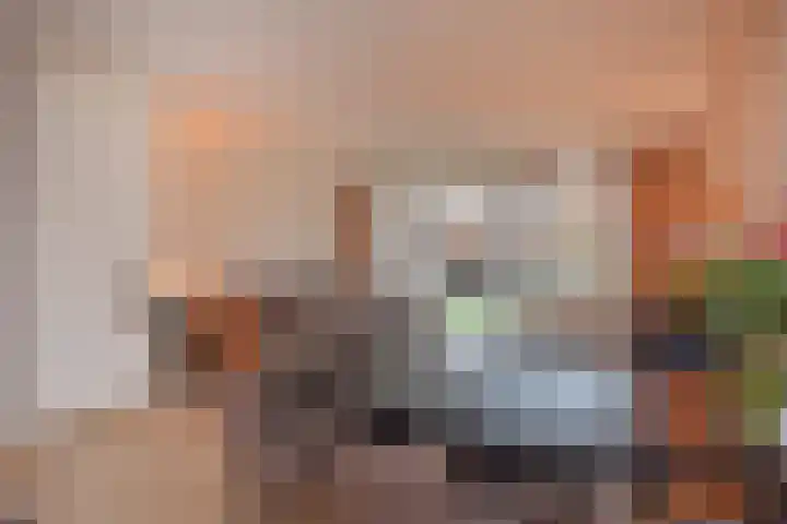 Anna Ruyschstraat 27 Zoetermeer thumbnail 14