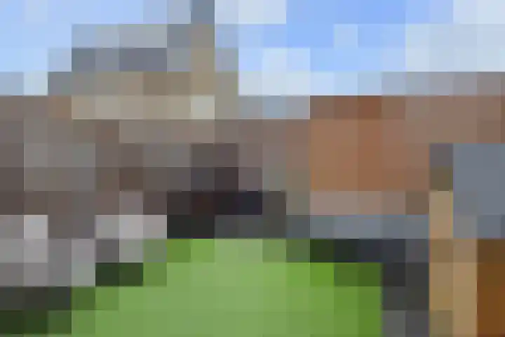 Anna Ruyschstraat 27 Zoetermeer thumbnail 18