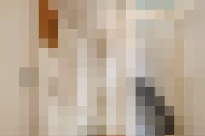 Anna Schennaersstraat 16 Helden thumbnail 17