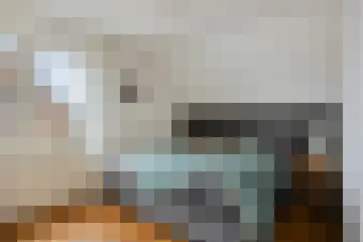 Anna Schennaersstraat 16 Helden thumbnail 18
