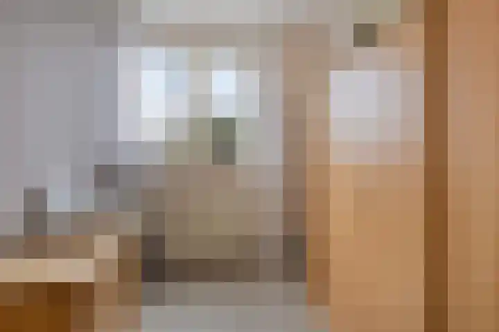 Anna Schennaersstraat 16 Helden thumbnail 22