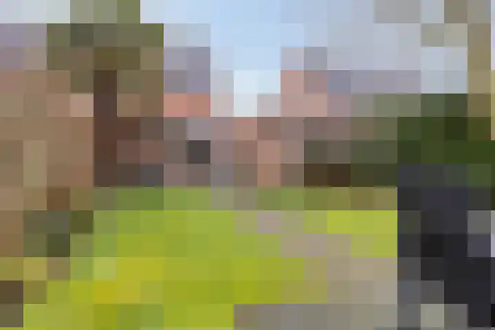 Anna Schennaersstraat 16 Helden thumbnail 31