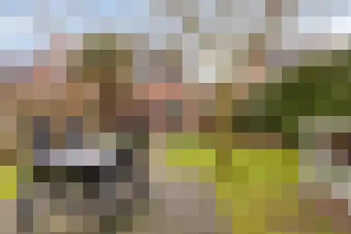 Anna Schennaersstraat 16 Helden thumbnail 32