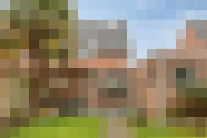 Anna Schennaersstraat 16 Helden thumbnail 34