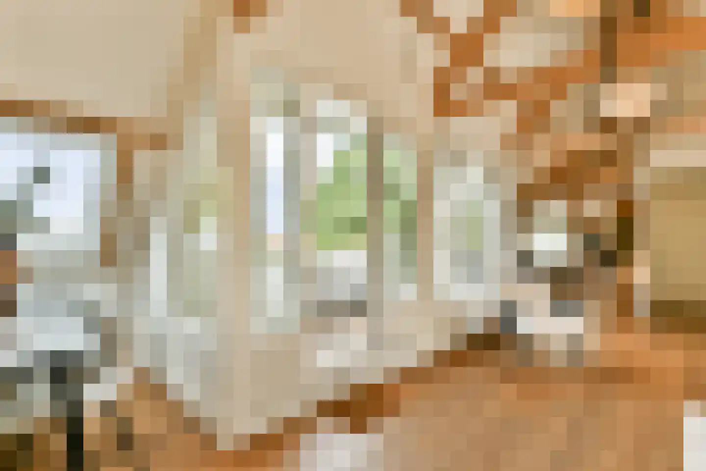 Anna Spenglerstraat 119 Amsterdam thumbnail 12