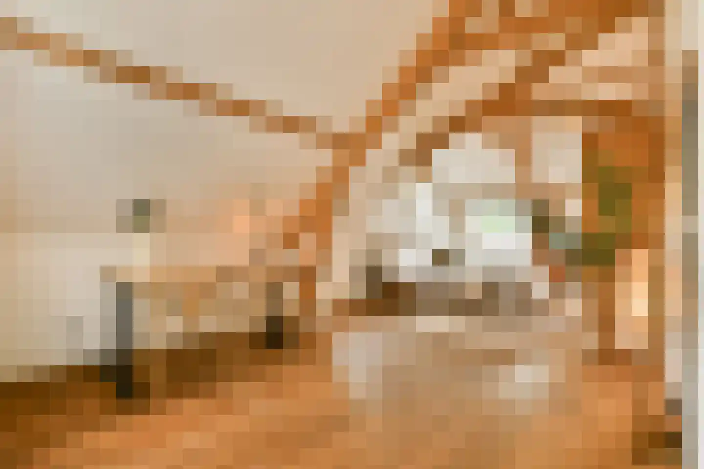 Anna Spenglerstraat 119 Amsterdam thumbnail 16