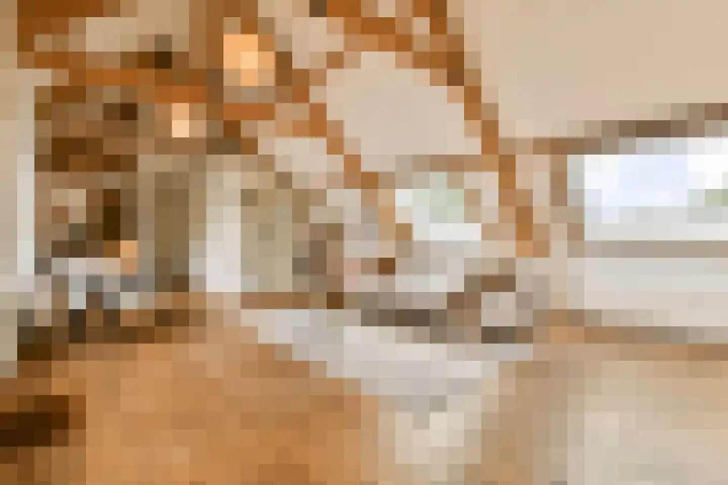 Anna Spenglerstraat 119 Amsterdam thumbnail 27