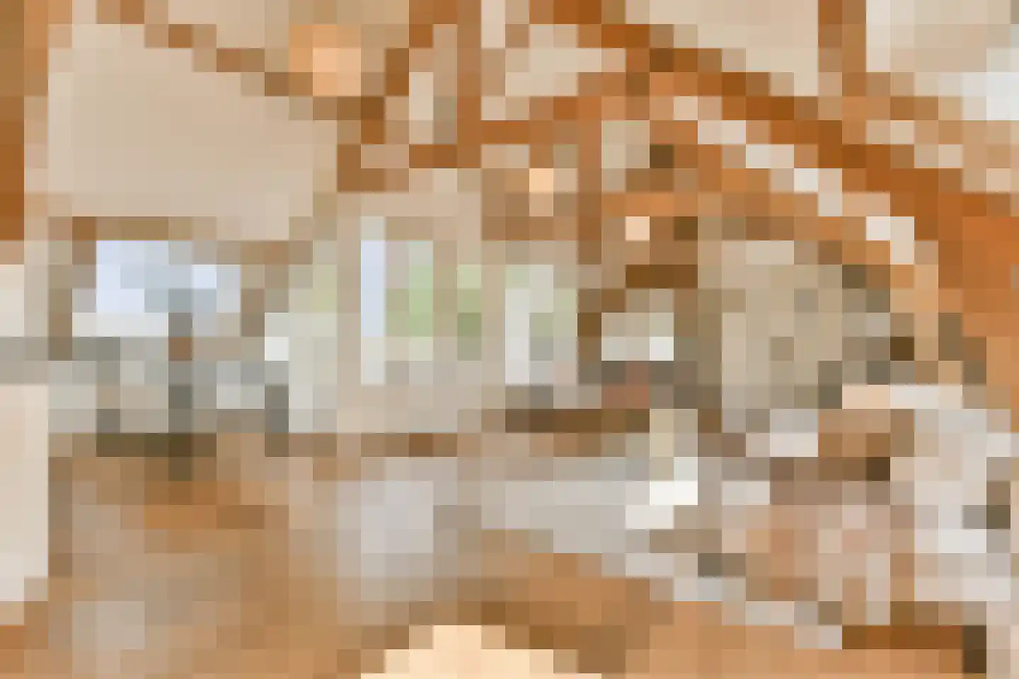Anna Spenglerstraat 119 Amsterdam thumbnail 5