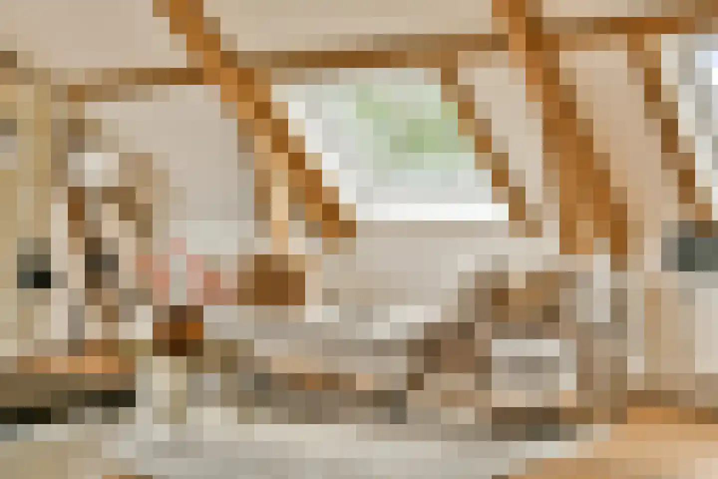 Anna Spenglerstraat 119 Amsterdam thumbnail 6