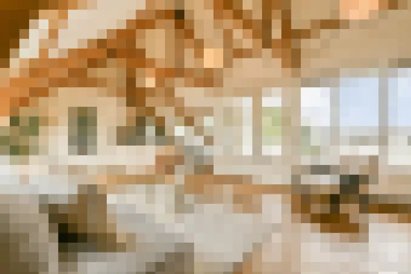 Anna Spenglerstraat 119 Amsterdam thumbnail 7