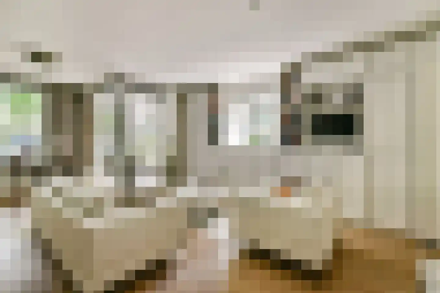 Anna Spenglerstraat 6 Amsterdam thumbnail 4