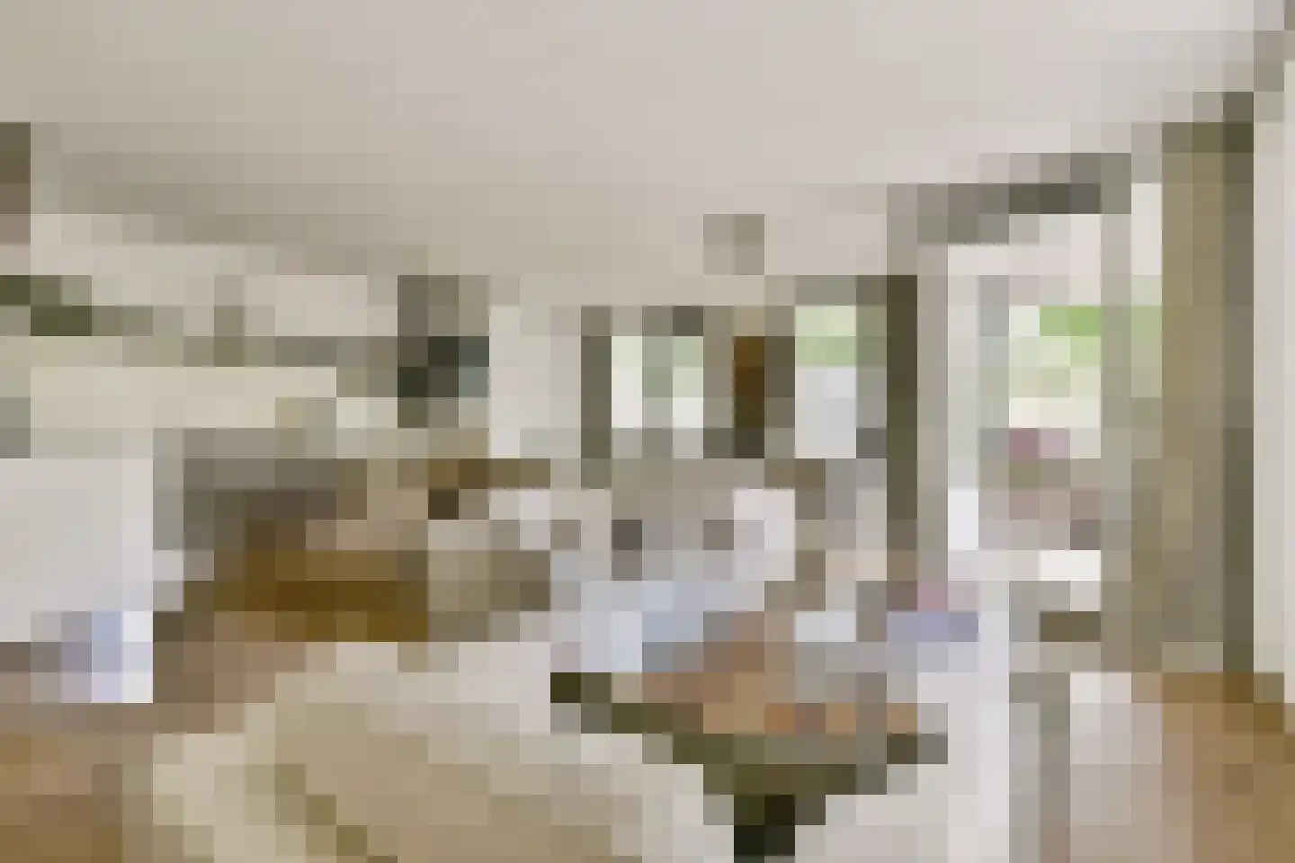 Anna Spenglerstraat 6 Amsterdam thumbnail 5