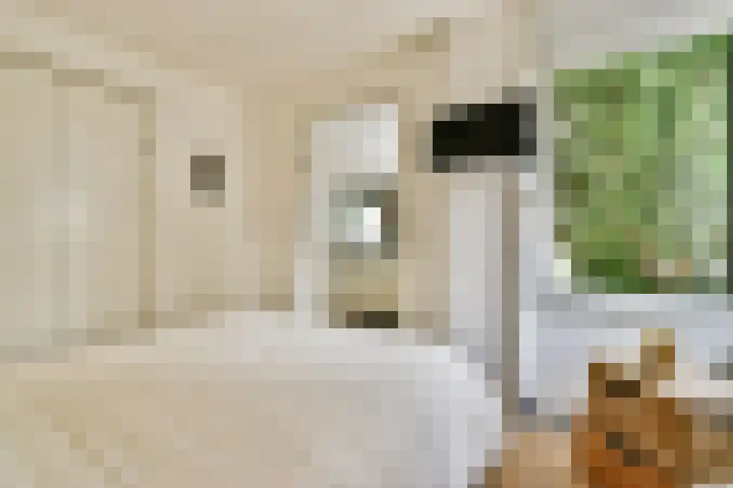 Anna Spenglerstraat 6 Amsterdam thumbnail 8