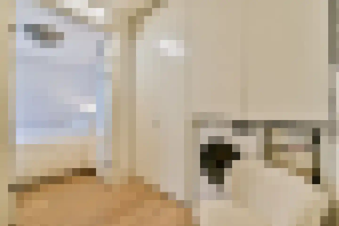 Anna Spenglerstraat 6 Amsterdam thumbnail 9