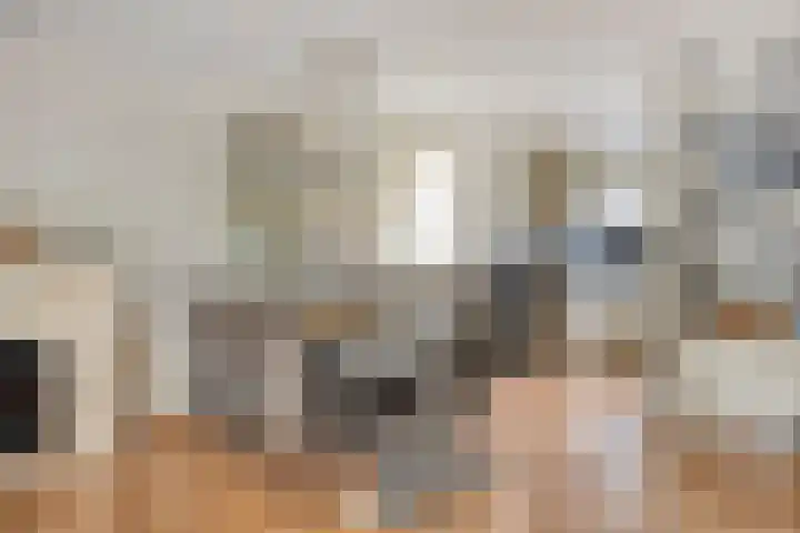 Anna Teding van Berkhoutstraat 34 Leiden thumbnail 11