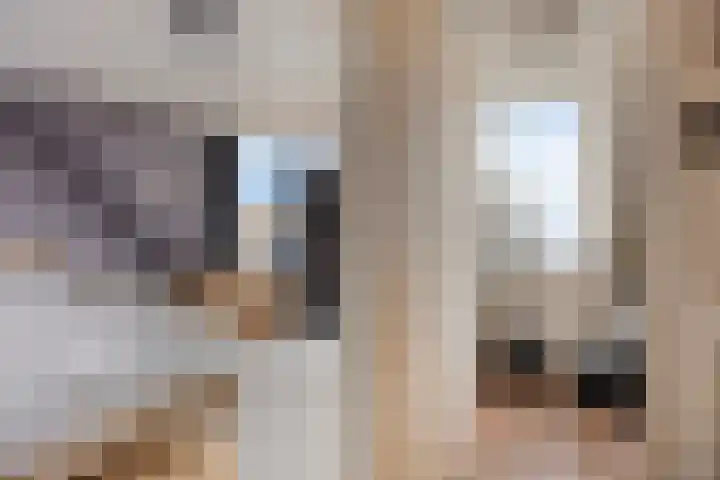 Anna Teding van Berkhoutstraat 34 Leiden thumbnail 26