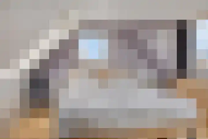 Anna Teding van Berkhoutstraat 34 Leiden thumbnail 27