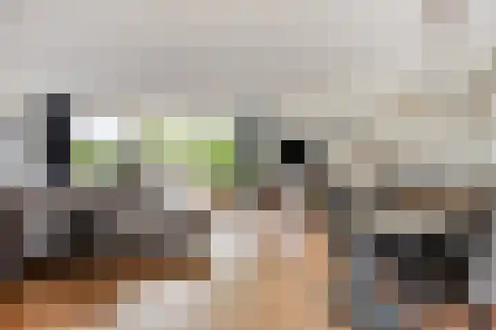Anna Teding van Berkhoutstraat 34 Leiden thumbnail 4