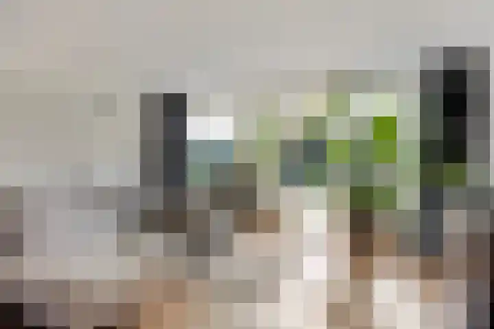 Anna Teding van Berkhoutstraat 34 Leiden thumbnail 5