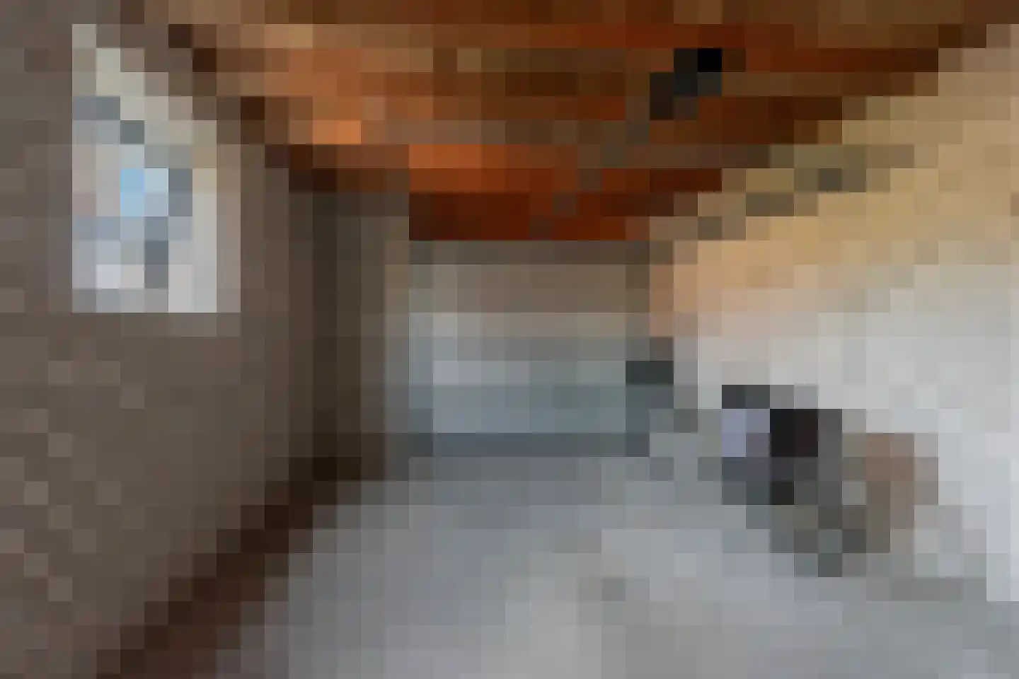 Anna Vaecstraat 20 Bemmel thumbnail 33