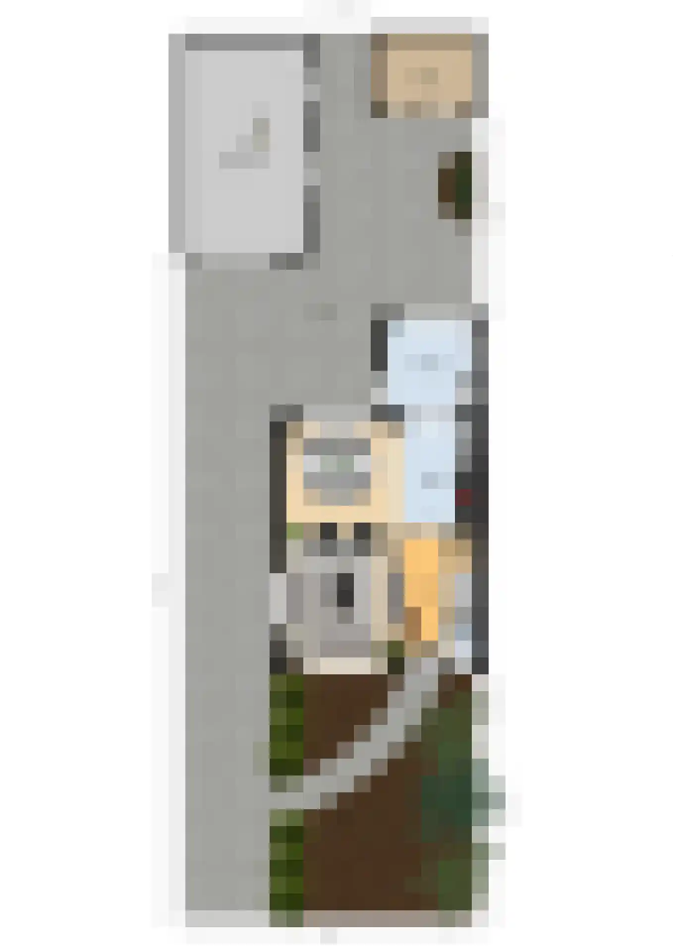 Anna Vaecstraat 20 Bemmel thumbnail 42