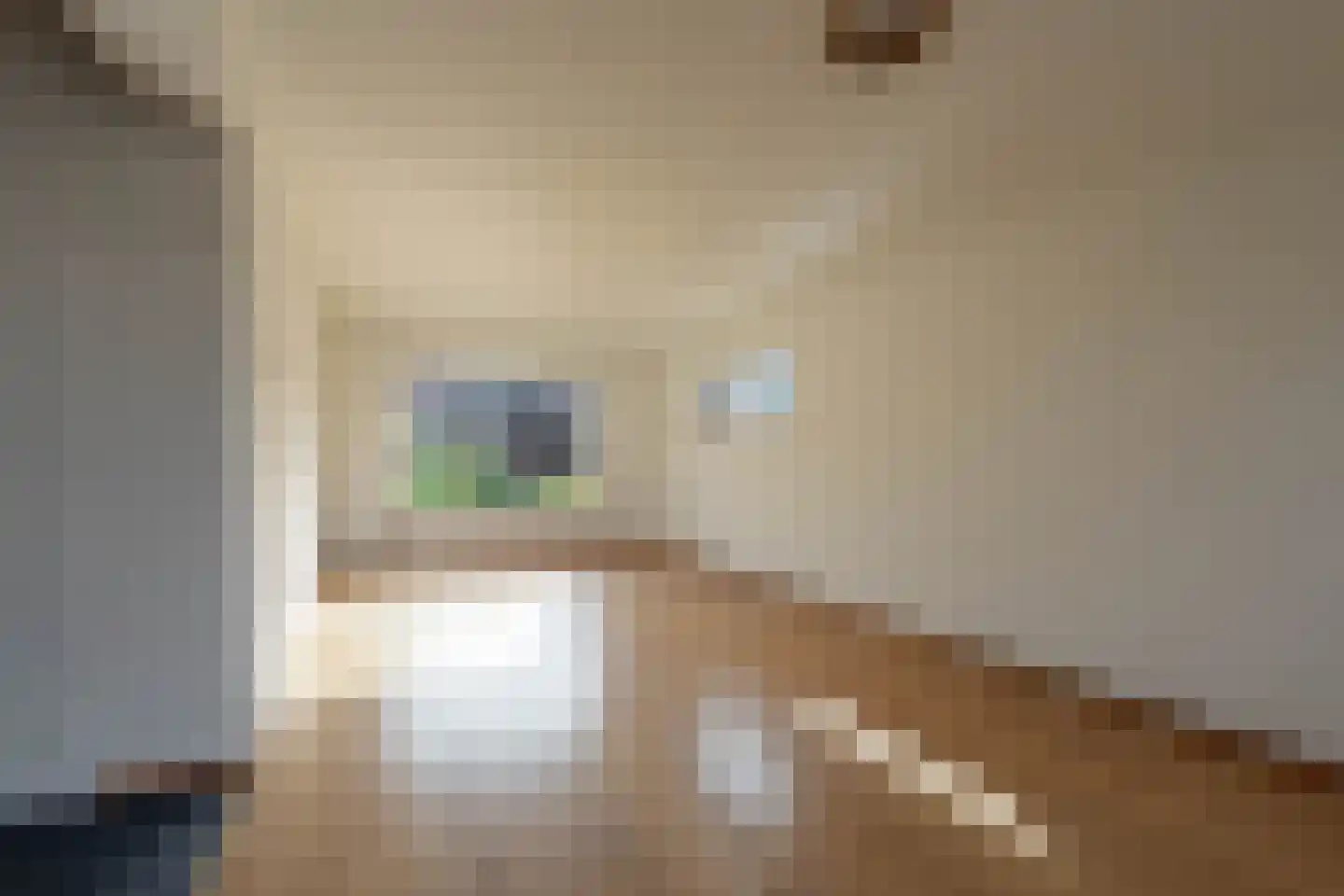 Anna Vaecstraat 20 Bemmel thumbnail 9