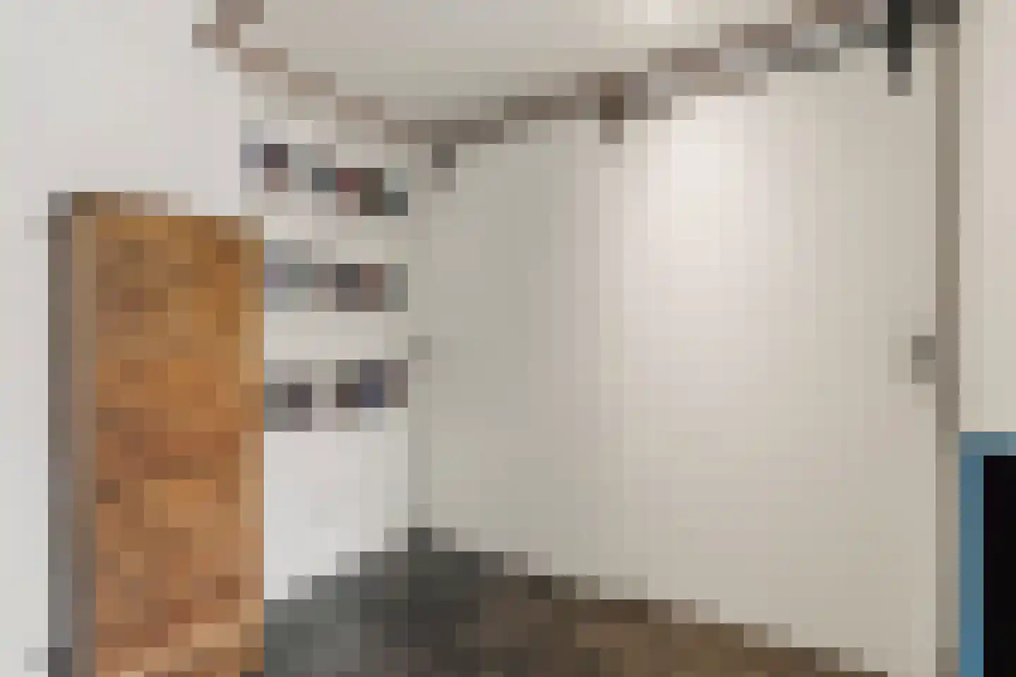 Anna Vaecstraat 21 Bemmel thumbnail 10