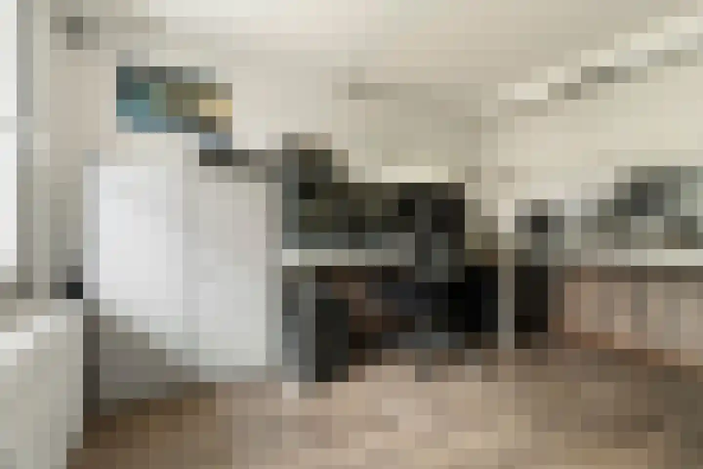 Anna Vaecstraat 21 Bemmel thumbnail 32