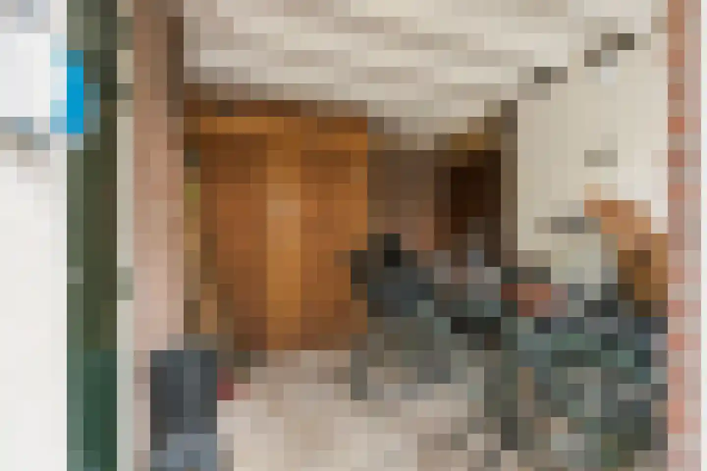 Anna Vaecstraat 21 Bemmel thumbnail 34