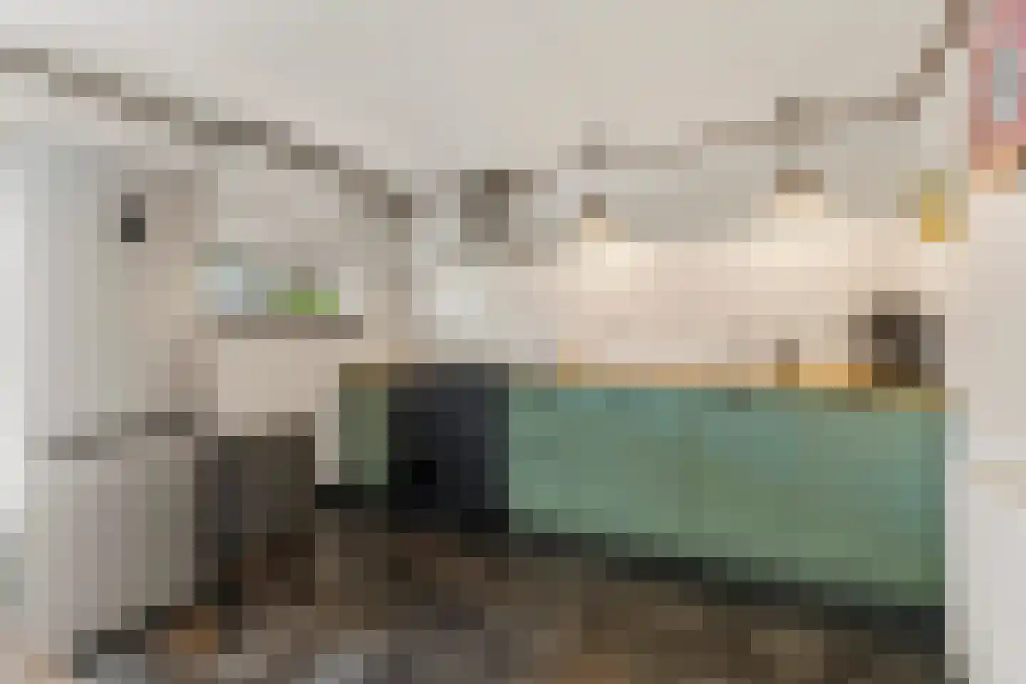 Anna Vaecstraat 21 Bemmel thumbnail 4