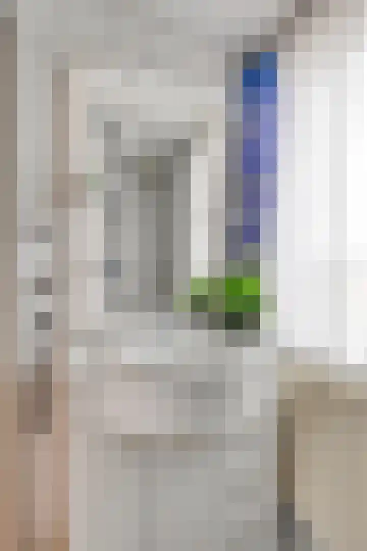 Anna Vaecstraat 23 Bemmel thumbnail 25