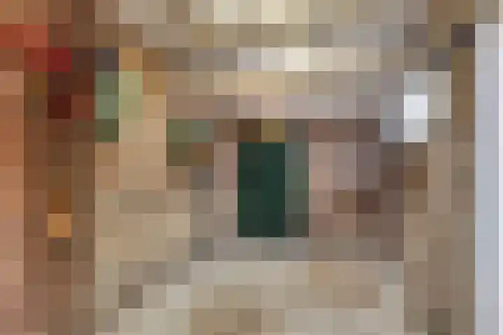 Anna Vaecstraat 23 Bemmel thumbnail 36
